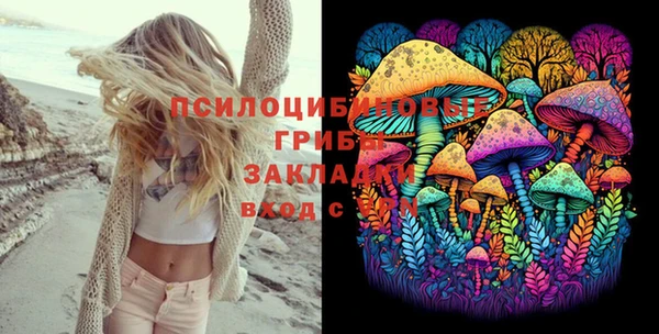 эйфоретик Янаул