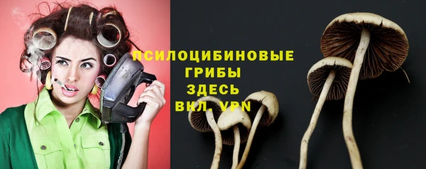 эйфоретик Янаул