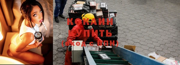 молекула духа Красноперекопск